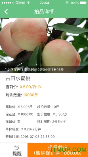 侬拍拍