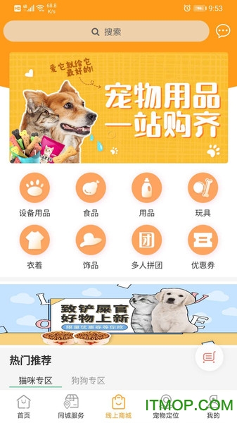 慧宠