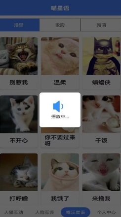 猫狗翻译器