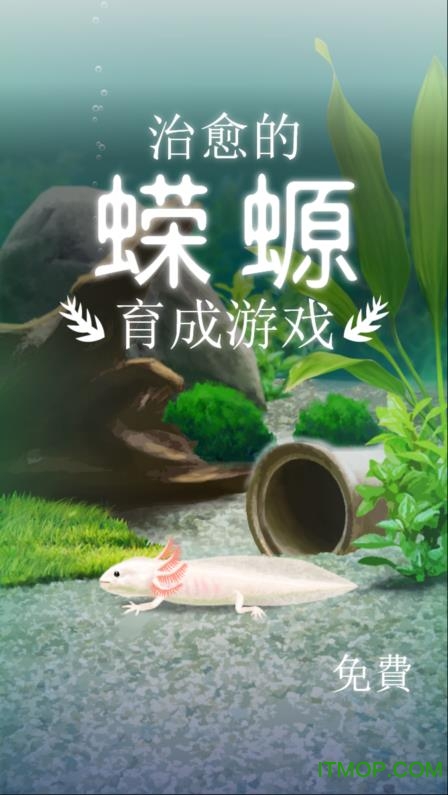 治愈的蝾螈育成汉化破解版