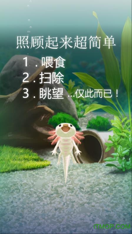 治愈的蝾螈育成汉化破解版