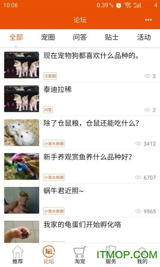 淘宠网