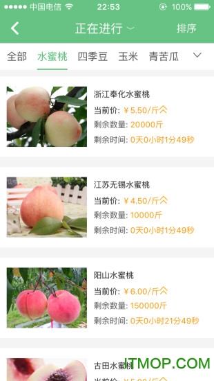 侬拍拍