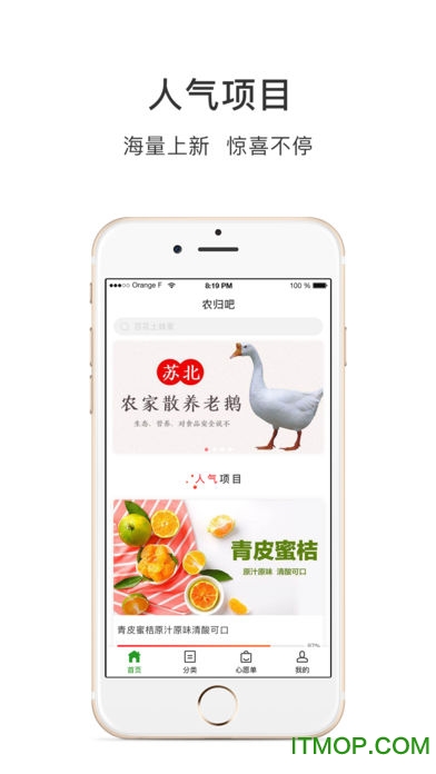农归巴