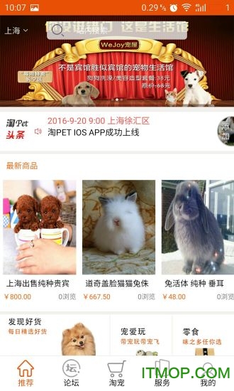 淘宠网