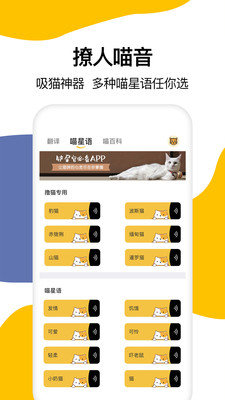 翻译大全