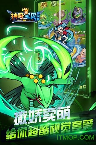 神奇宝贝宝可梦 神奇宝贝宝可梦