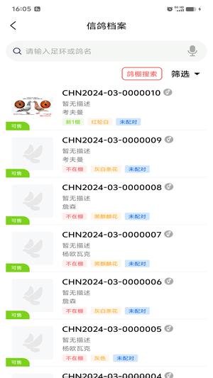 信鸽云