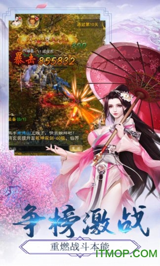 剑踪情缘