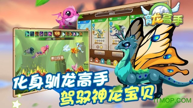 育龙高手