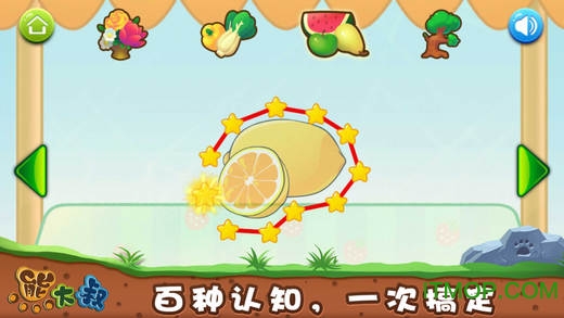 熊大叔宝宝连线植物版