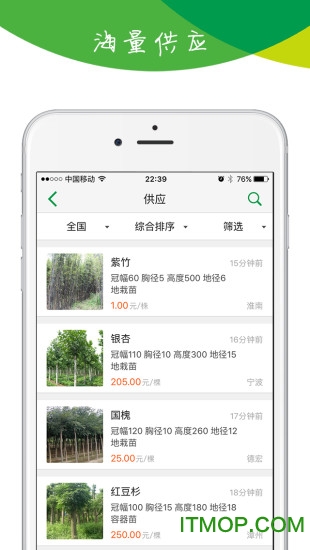 苗木宝