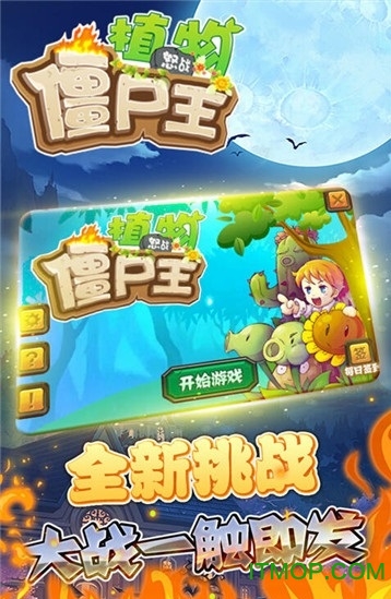 植物怒战僵尸王