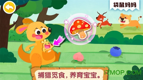 奇妙的动物家庭 奇妙的动物家庭