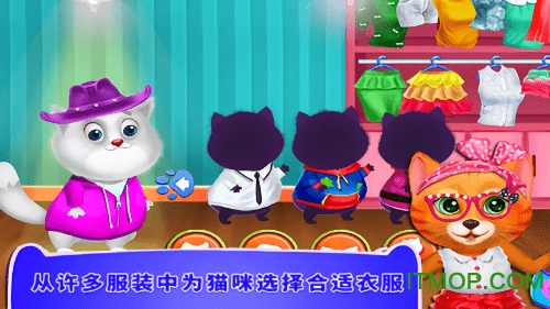 照顾小猫咪