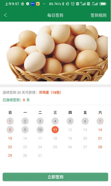 爱登王