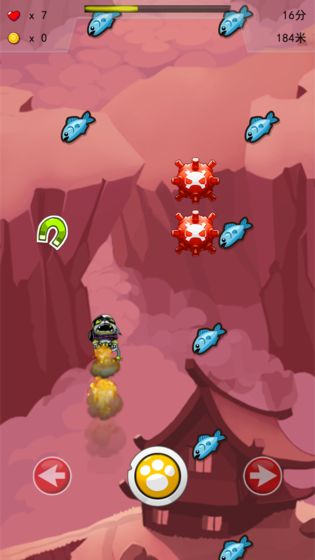 兔子之冲上云霄