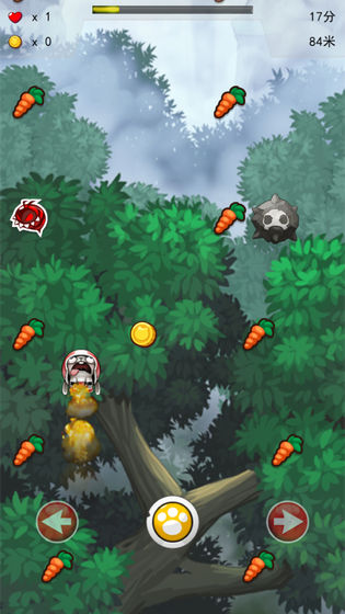 兔子之冲上云霄