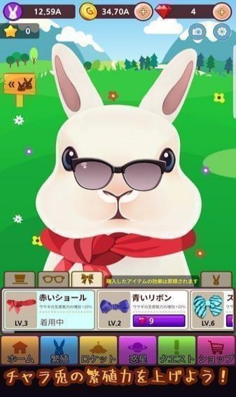 繁殖王！チャラ兎