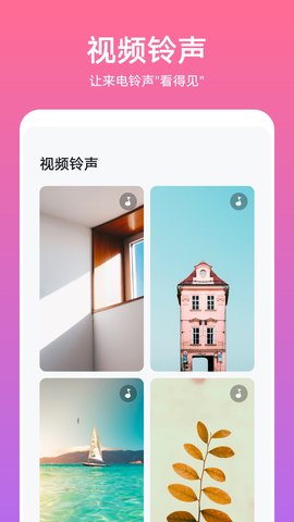 华为主题 会员版