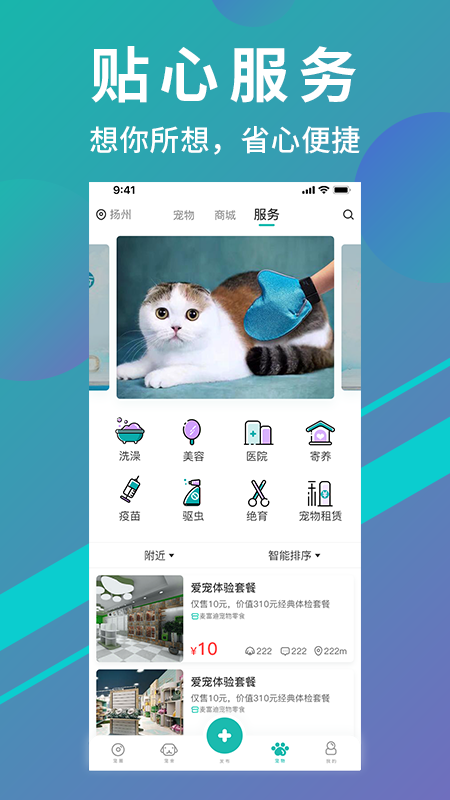 卿卿