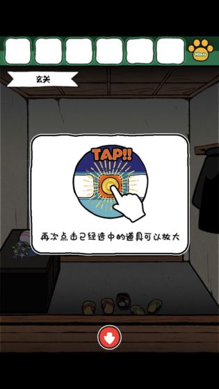 ネコと秘密の宝