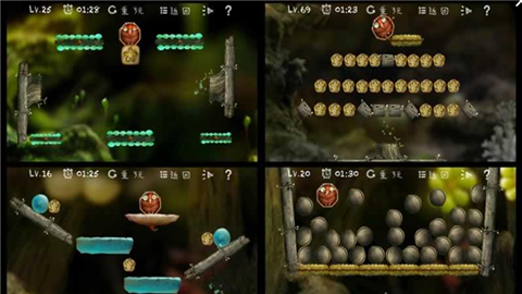 小甲虫回家 小甲虫回家