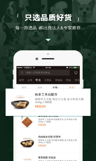 宠宠熊