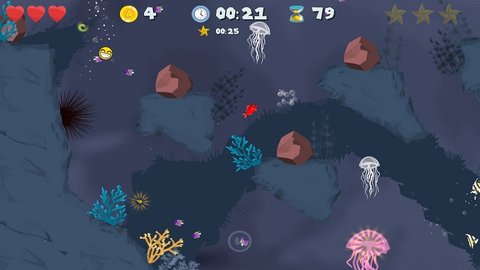 小小鱼鳍 小小鱼鳍