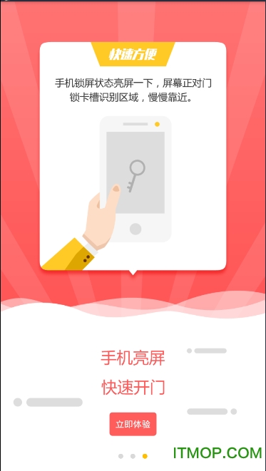 掌门狗