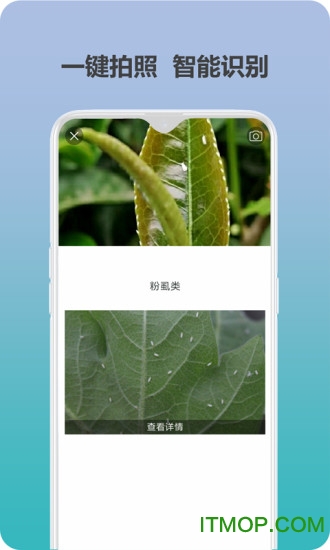 爱植保