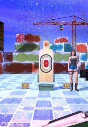 Shooting Challenge Bull Eye