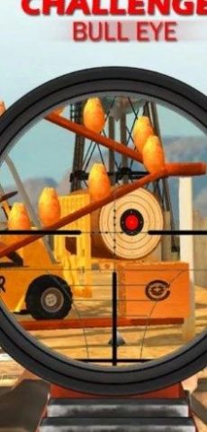 Shooting Challenge Bull Eye