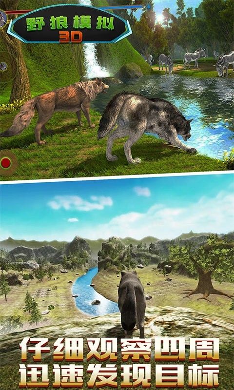 野狼模拟3D