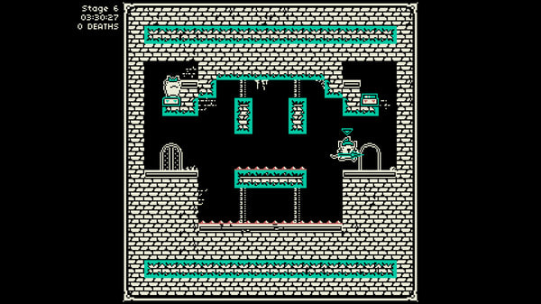 蛙公主和猫骑士