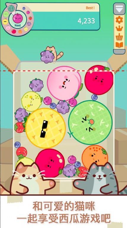 Cat & Watermelon