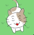 子猫はどこに行った?