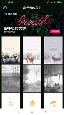 壁纸图片大师