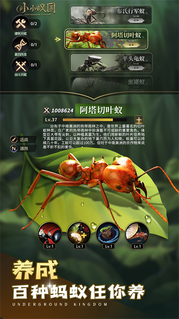小小蚁国超快发育版