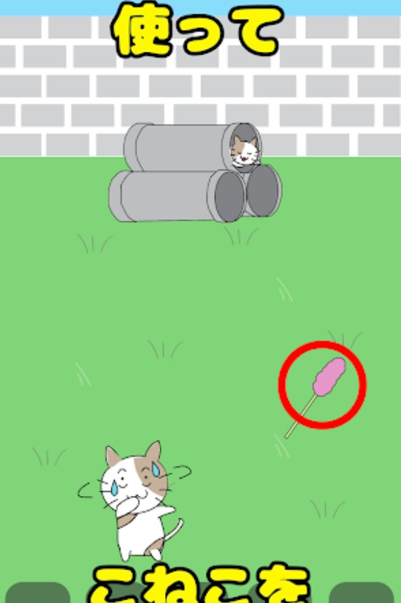 子猫はどこに行った？