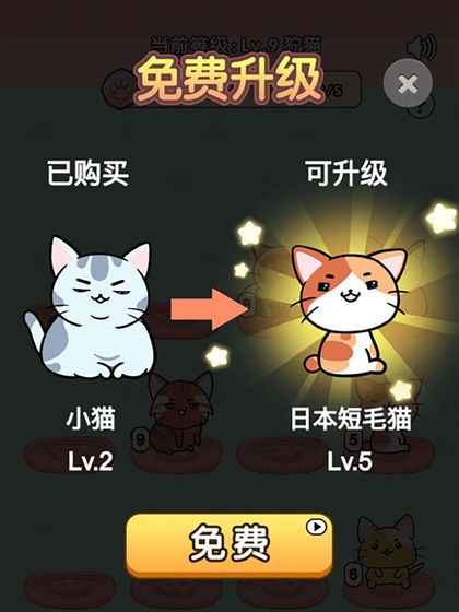 我的小猫 我的小猫
