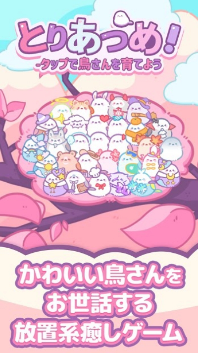 收集雏鸟吧！