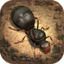 小小蚁国超快发育版