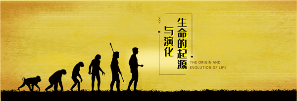 国家职业终身教育平台