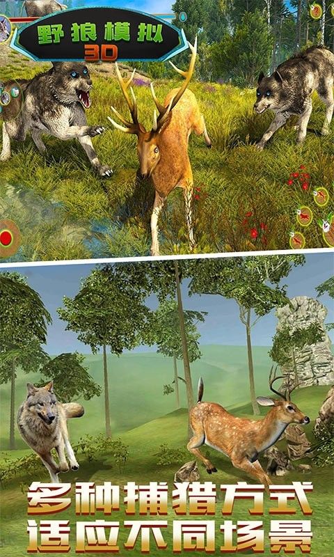野狼模拟3D