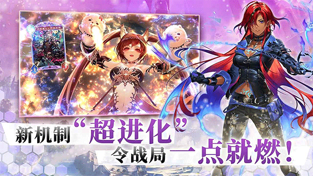 ShadowverseWB安装器