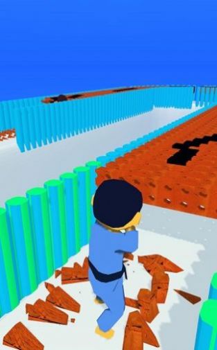 功夫砖块 功夫砖块