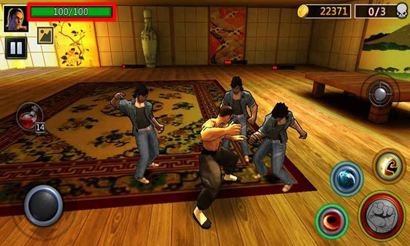 功夫之拳