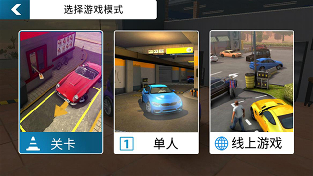 Car Parking