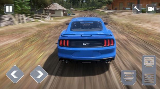 Mustang Ride